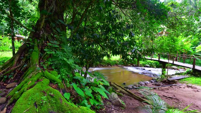 4K time lapse video of water flowing at Teentok royal project development center, Thailand.