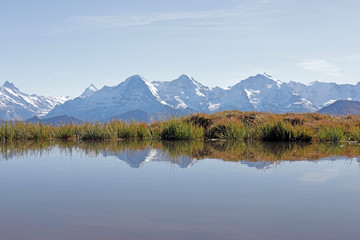 aussicht vom niederhorn, eiger, m&ouml;nch,  jungfrau, berner alpen, schweiz 