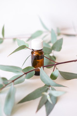 A bottle of eucalyptus essential oil on a light minimalistic background. Sprig of eucalyptus