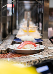 sushi that Japanese rice topping with sea fish placed in a white plate that placed on the belt