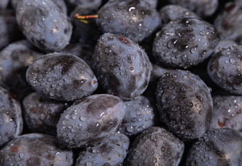 pile of plums on black background
