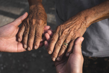 Young woman hands holding elderly person's hands.