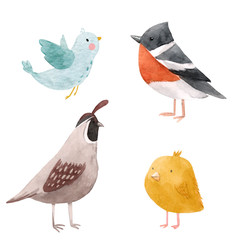 Cute watercolor bird illustration set for children print