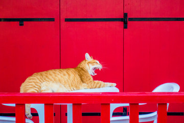 A nice trip to Cypress