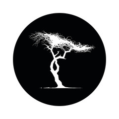 Logo Albero 3