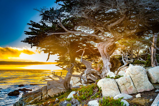 sunset at the coast near Point Lobos,