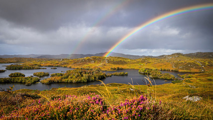 rainbow over field