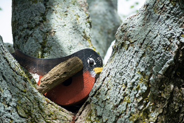 craft woodpecker on a tree