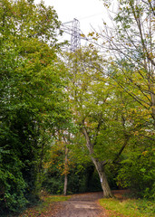 Fototapete bei efototapeten.de bestellen   