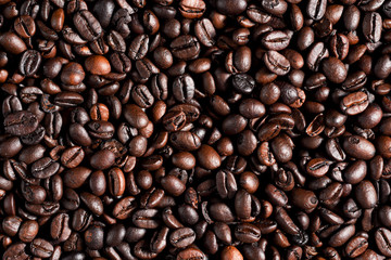 Fototapeta premium Roasted coffee beans background, arabica and robusta.