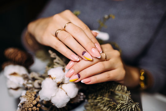 French Manicure. Manicure Closeup Nail Design. Christmas Manicure On A Background Of Cotton And Christmas Tree Twigs