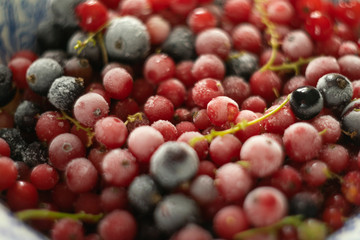 Blurred defocused frozen ripe red and black currants on branches in plate, selective focus, blurred background, soft focus