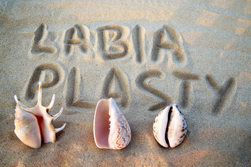 Sea shell in the form of female genitalia, vagina, inscription on the sand labiaplasty. female beauty concept