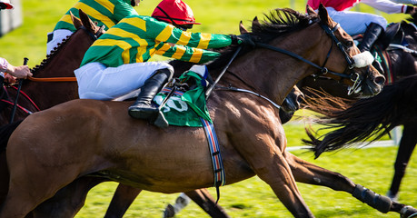 Horse racing action, close up on race horse and jockey galloping at speed for first place position,...