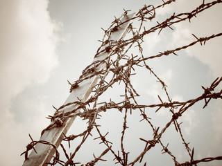 Tangle of barbed wire against the darkness sky, Retro color photo effect.