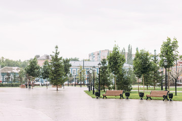 Rainy weather in the city. Rain in the city park