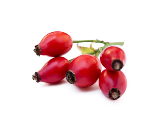 Ripe rose hip isolated on white background