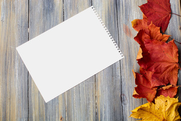 Obraz premium autumn leaves on a wooden background with a sheet of paper
