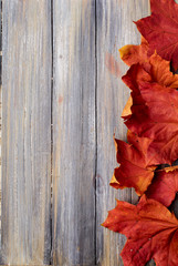 autumn leaves on a wooden background removed