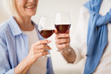 Elderly couple clinking glasses of wine, celebrating anniverary