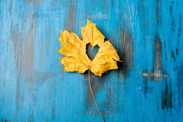 autumn leaves on a wooden background removed