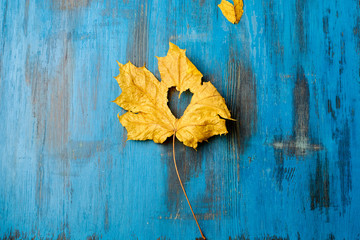 Obraz premium autumn leaves on a wooden background removed