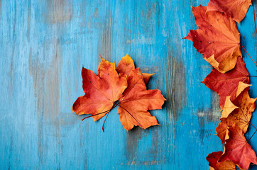 Naklejka na ściany i meble Colorful vertical frame of fallen autumn leaves