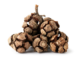 Pile of cypress cones on a white, isolated.