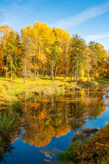 Wonderful autumn landscape with beautiful yellow and orange colored trees, lake or river, vertical
