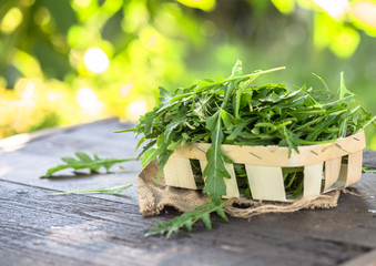 Fresh arugula leaves, rucola