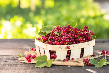 red currant , fresh berries in a basket on natural 
