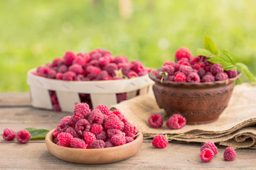 raspberry in basket  on natural background, summer food concept 