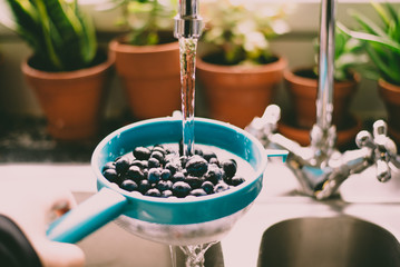 blueberries washed under running water in the sink - obrazy, fototapety, plakaty