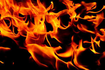 Bright blazing fire. Fire. The texture of fire.