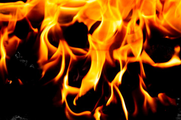 Bright blazing fire. Fire. The texture of fire.