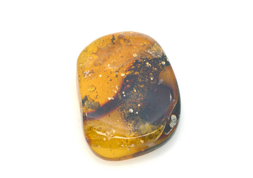 Fossilized beetle inside an amber stone. 25 million years old.