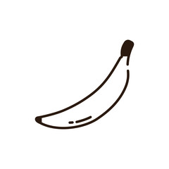 Isolated banana icon line vector design