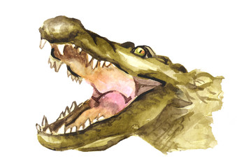 Muzzle or head of a crocodile or Alligator with open mouth. Watercolor hand drawn illustration, isolated on white background