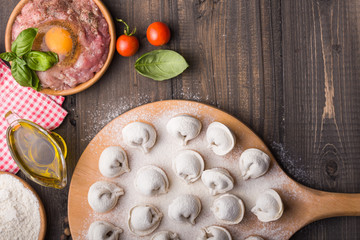 process of making home-made dumplings. Raw homemade dumplings on a wooden board.