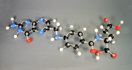 Molecule model of Vitamin B9. White is Hydrogen, black is Carbon, red is  Oxygen,  White is Hydrogen, black is Carbon, red is  Oxygen, and blue is Nitrogen.