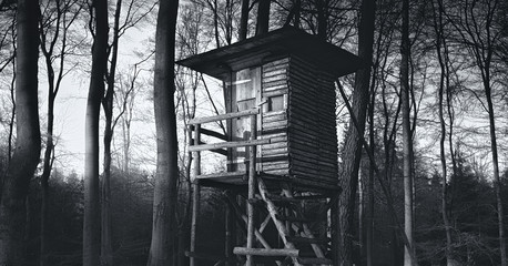 Hochsitz im Wald im Winter