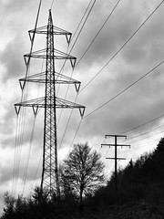 Strommast im Wald