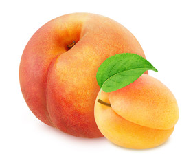 Colourful composition with fruit mix - peach and apricot isolated on a white background with clipping path.