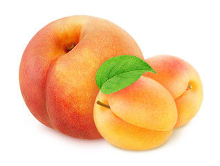 Colourful composition with fruit mix - peach and apricot isolated on a white background with clipping path.
