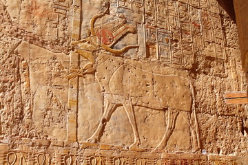 hieroglyphics on wall