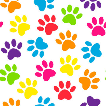 Paw print multicolored seamless. Vector illustration animal paw track pattern. backdrop with silhouettes of cat or dog footprint.