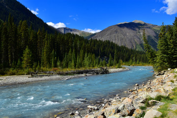 The Bow river meandering by mountains and forests through the bow valley in Banff national park,  Alberta,  Canada.