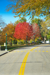 Road with colorful trees in Quebec, Canada during fall/autumn season