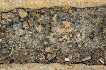 Obraz premium Land Grave, Cemetery, Montevideo, Uruguay