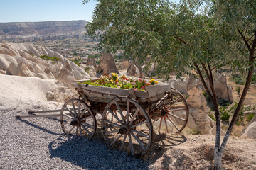 Old cart with flowers at Göreme, Open air UNESCO world heritage site Museum in Cappadocia, Turkey